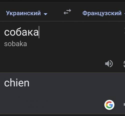 Как переводиться кот и собака на французский